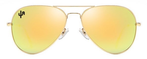 Cactus Aviator