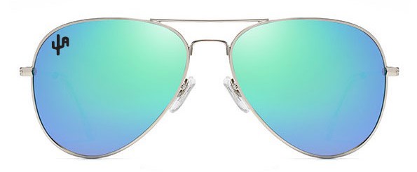 Cactus Aviator