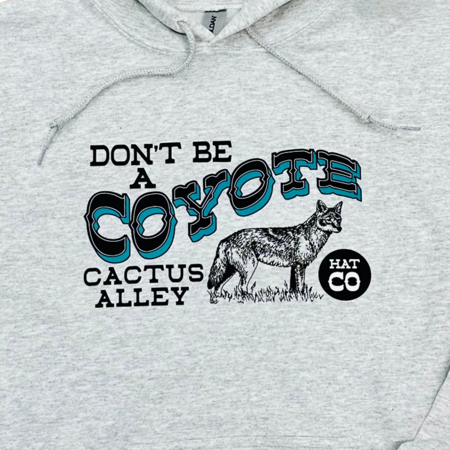 Coyote