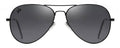 Cactus Aviator