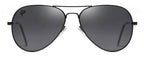 Cactus Aviator