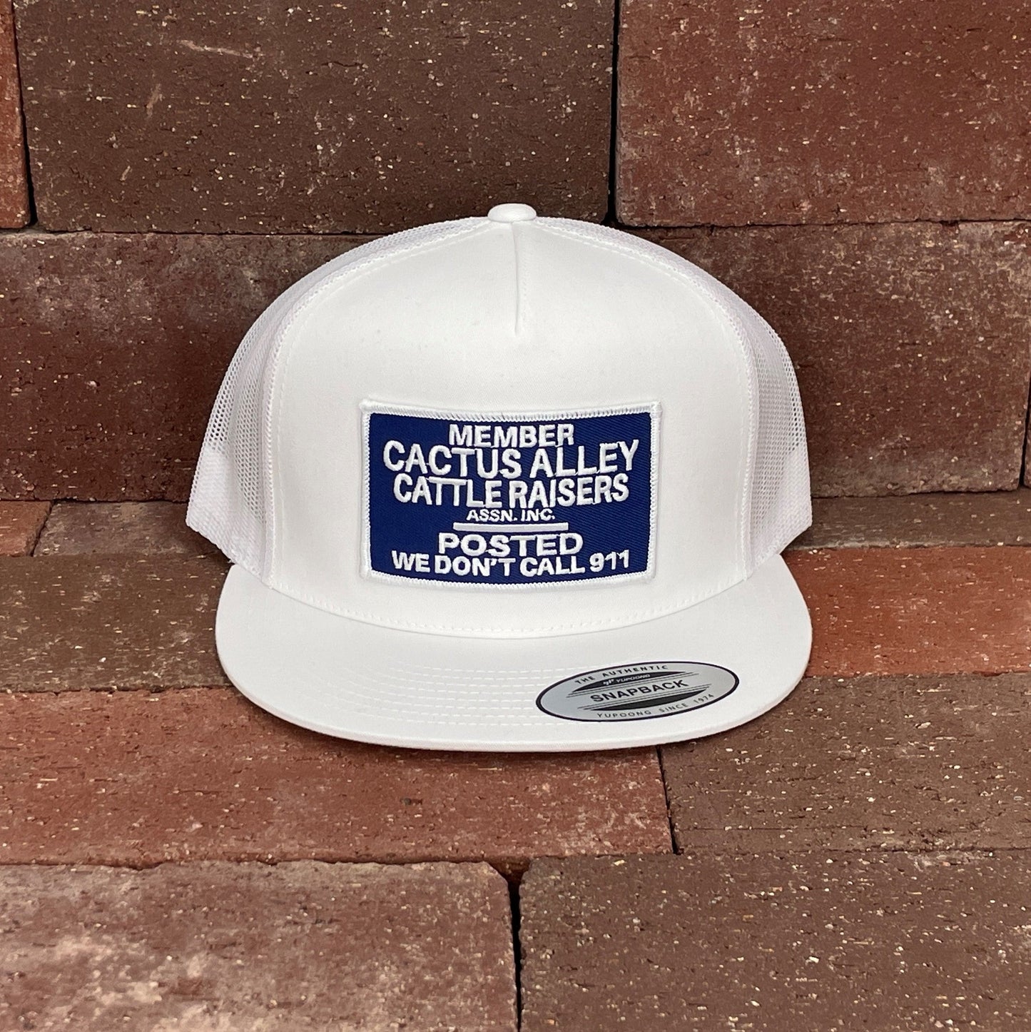 "POSTED" - 6006 White/ White Mesh, Snapback Cap